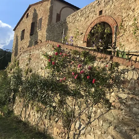 Fattoria Il * Санто